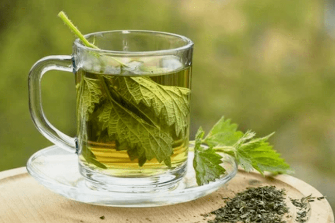荨麻茶